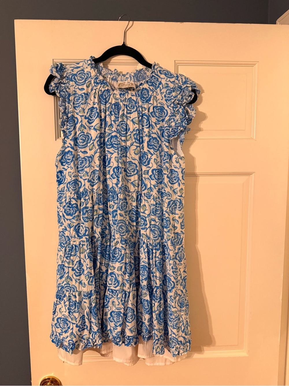 Blue Rose Print Ruffle Mini Dress